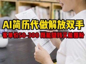 AI简历代做解放双手,客单价50-300不等,既能挣钱又能囤粉