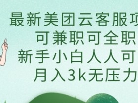 最新美团云客服项目,可兼职可全职,新手小白人人可做,月入3k无压力