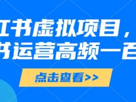 小红书虚拟项目,小红书运营高频一百问【文档】