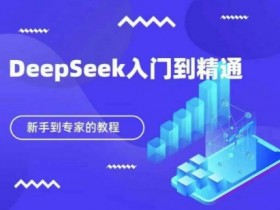 DeepSeek快速从入门到精通,新手的保姆级教程