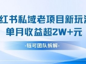 小红书私域项目新玩法,单月变现过W+