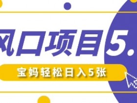 新风口项目5.0版!即梦AI做爆款萌娃说话视频,单日涨粉2W+,新手宝妈轻松日入5张