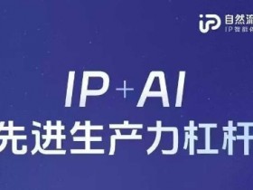 25年自然流AI智能体线下课程,IP+AI先进生产力杠杆(官方笔记+全套课件+完整录音)