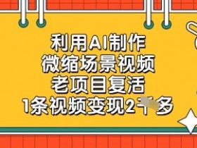 利用AI制作微缩场景视频,老项目复活,1条视频变现2k