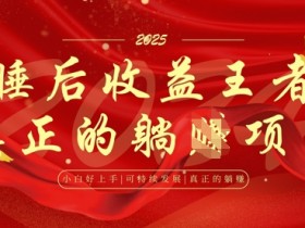 全网首发,面试辅导项目,每月被动收益,自己做老板,全流程AI化,轻松月入过W+