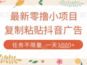 最新零撸小项目,复制粘贴抖音广告即可挣钱,平台大水,任务不限量,一天数张【揭秘】