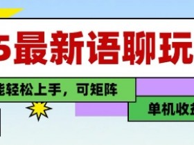 25年最新语聊玩法,纯手工,单机收益100+,小白也能轻松上手,可矩阵操作