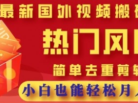 2025最新视频搬砖项目,热门风口,简单去重剪辑,小白也能轻松月入过W
