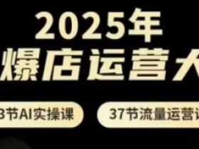 2025年AI爆店运营大课,13节AI实操课+37节流量运营课