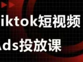 Ads视频投放课,tiktok短视频广告投放课