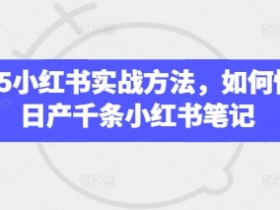 2025小红书实战方法,如何快速日产千条小红书笔记