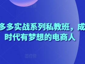 2025拼多多实战系列私教班,成就这个时代有梦想的电商人