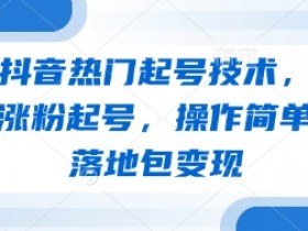 最新抖音热门起号技术,独家教学涨粉起号,操作简单,包落地包变现