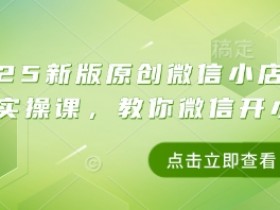 2025新版原创微信小店带货者实操课,教你微信开小店
