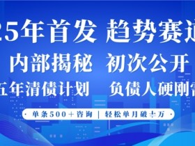 2025年首次公开,真正的事业型赛道,客咨不断,单月轻松破W