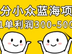 细分小众蓝海项目,一单利润3张,每月收入稳定过1w+