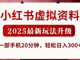 小红书虚拟资料，2025最新玩法升级，一部手机20分钟，轻松日入3张【揭秘】