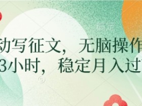 AI自动写征文,无脑操作 每天2-3小时,稳定月入过W