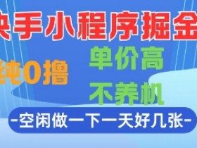 快手小程序掘金，纯0撸，单价高不养机 利用空闲时间做一做，一天好几张【揭秘】