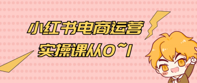 新媒体运营小红书电商运营实操课从0~1