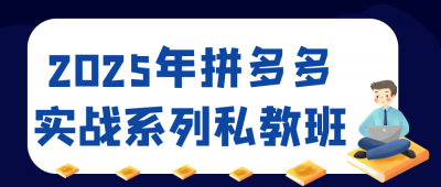 新媒体运营2025年拼多多实战系列私教班