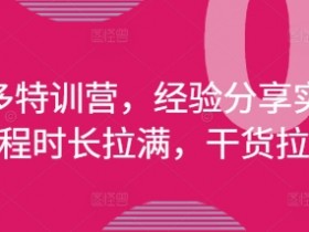 拼多多特训营,经验分享实操,课程时长拉满,干货拉满(更新25年4月)