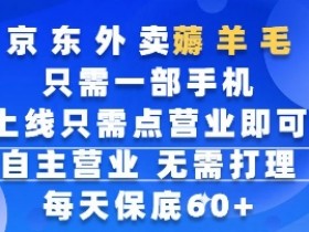 京东外卖薅羊毛,只需一部手机随时随地皆可操作,每天上线只需动动手指点营业即可,每天60+【揭秘】