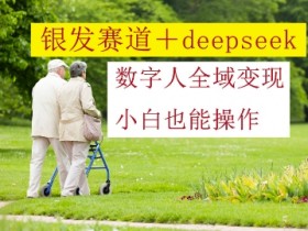 银发赛道+deepseek数字人全域变现,小白也能操作
