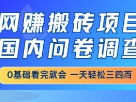 网创搬砖项目,国内问卷调查,小白轻松上手,一天三四张的也不难,干就完了【揭秘】