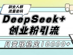 DeepSeek+创业粉精准引流,全新分享课4.0玩法,AI矩阵日引300+,多种变现方式,稳定月入1W