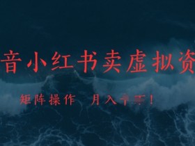 抖音小红书卖虚拟资料,市场需求一直存在,矩阵操作,月入1w+