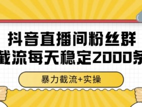 抖音直播间粉丝群暴力截流,一台电脑每天稳定2000条数据,暴力截流+实操 【揭秘】