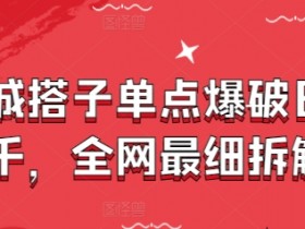 同城搭子单点爆破日入千,全网最细拆解