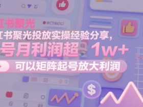 小红书聚光投放实操经验分享,单号月利润超1w+,可以矩阵起号放大利润