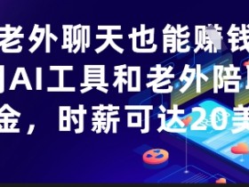 和老外聊天也能挣钱?利用AI工具和老外陪聊挣美金,时薪可达20刀