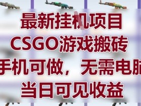 最新挂G项目,CSGO游戏搬砖,手机可做,无需电脑,当日见收益【揭秘】