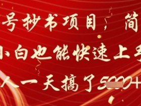 公众号抄书项目,简单粗暴,小白也能快速上手,有人一天搞了1k+