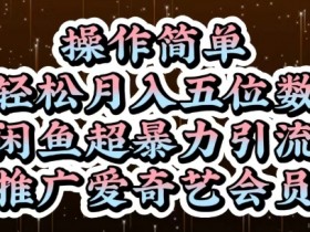 闲鱼超暴力引流推广爱奇艺会员,操作简单,轻松月入5位数