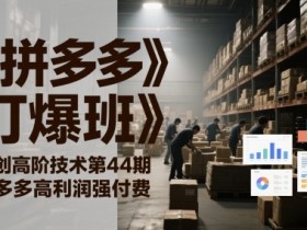 《拼多多打爆班》原创高阶技术第44期，拼多多高利润强付费