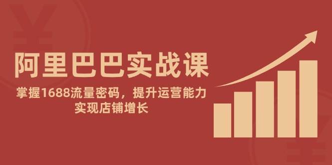 阿里巴巴实战课：掌握1688流量密码，提升运营能力，实现店铺增长