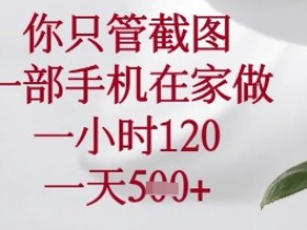 你只管截图,一部手机在家可以做,一小时120.一天5张+【揭秘】