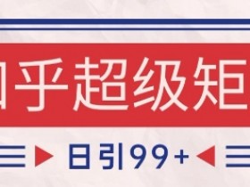 知乎超级矩阵玩法引流高质量精准粉SEO覆盖，日变现1k+【揭秘】