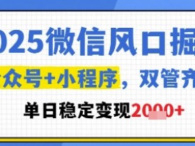 2025微信风口掘金，公众号+小程序双管齐下，单日稳定变现1k+【揭秘】
