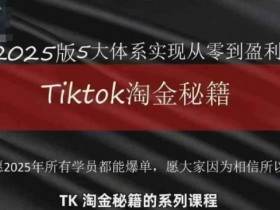 TikTok跨境2025淘金秘籍,2025TikTok从0到盈利变现