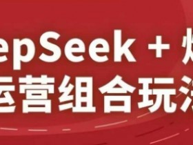DeepSeek+爆品运营组合玩法,2025淘系精品课