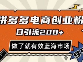 拼多多引流电商创业粉,日引200+,可矩阵放大,做了就有效【揭秘】