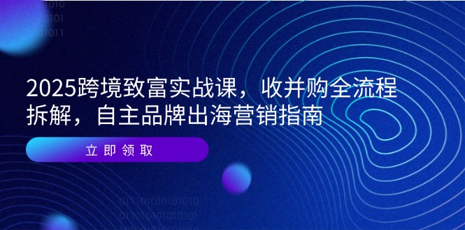(14975期)2025跨境电商发家致富实战演练课,收并购全过程拆卸,自有品牌出海营销手册
