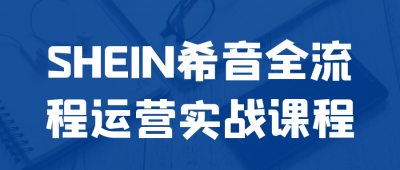 新媒体运营SHEIN希音全流程运营实战课程