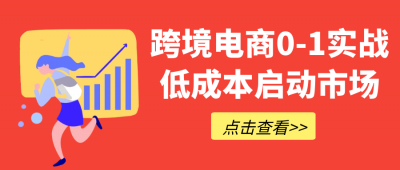 新媒体运营跨境电商0-1实战低成本启动市场