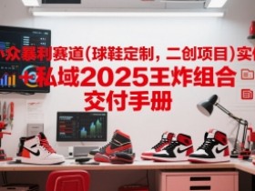 小众暴利赛道(球鞋定制,二创项目)实体+私域2025王炸组合 交付手册